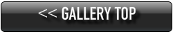 Gallery TOP
